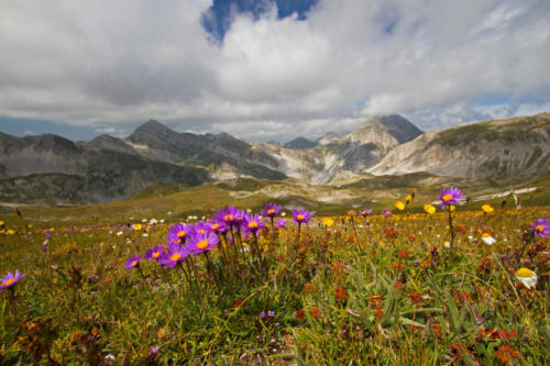 Abruzzo