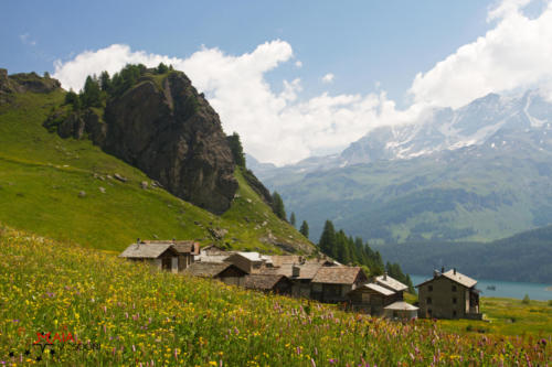 Primavera a Grevasalvas