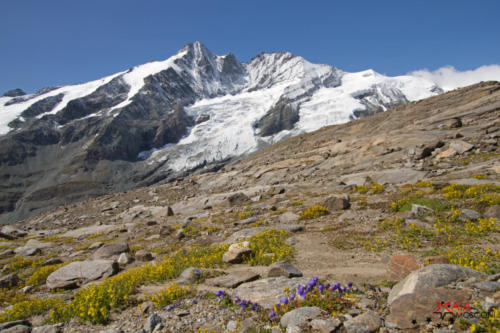 Großglockner 