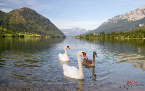 Salzkammergut