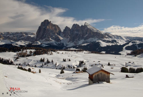 Alpe di Siusi