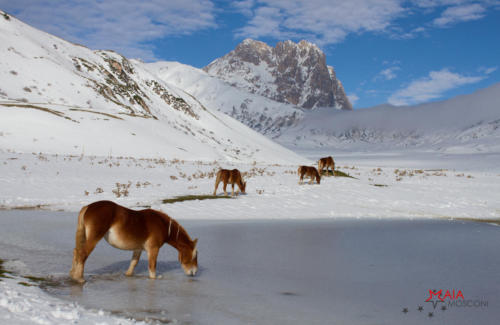 Prima neve a Campo Imperatore