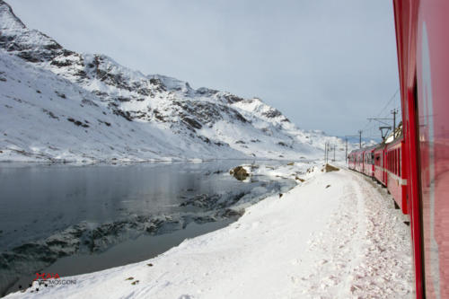 Bernina express