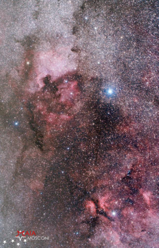 Nebulosa Nord America, Pellicano e Gamma Cygni